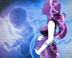 An illustration of a pregnant woman, her unborn child, and DNA, representing genetic enhancement