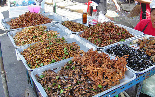 Insect food stall in Thailand