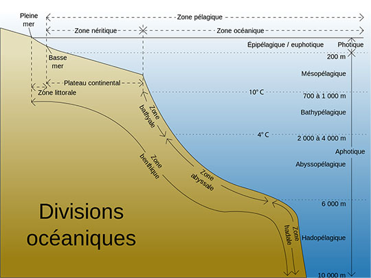 Oceanique divisions