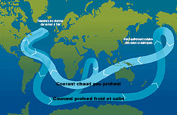 La circulation océanique