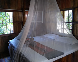 A bed net in a room in a bungalow in Cambodia