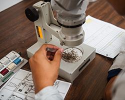 a researcher sorting mosquitoes under a microscope