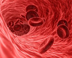 Illustration of blood cells flowing through a blood vessel