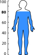 Human's bodies are roughly 80% water.