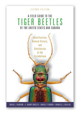Tiger Beetle Guide - Second Edition
