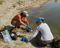 Jess Corman and Jorge Ramos collecting microbes