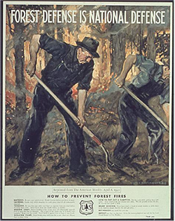 Forest defense poster