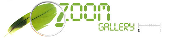 zoom gallery image