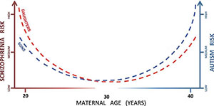 Graph showing maternal age risks for autism and schizophrenia