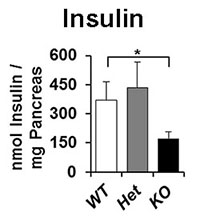 Insulin PLOS graph
