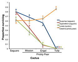 Graph showing fruit fly larvae survival on different types of cactus
