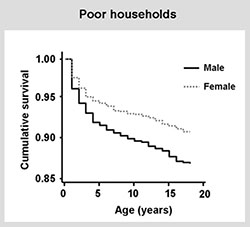 Poor households survival graph