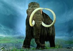 a large wooly mammoth stands in the foreground of a large field. You cannot see anything behind the creature but a blurry blue and foggy landscape. The sky looks like it might be near dusk.