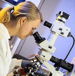 a woman scientist with blond hair pulled back in a pony-tail looks in to a large white microscope to study a specimen. What she is studying is unknown, but she appears to be in a lab. There is a white wall with two computers behind her.