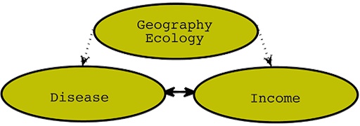 3 circles are shown. the top circle says &quot;geography ecology.&quot; Two arrows come out of this circle downward, directed at two other circles. The left circle says &quot;Disease&quot; and the right circle says &quot;Income.&quot; These two circles have a double-sided arrow between them. 