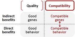 Quality vs. compatibility table