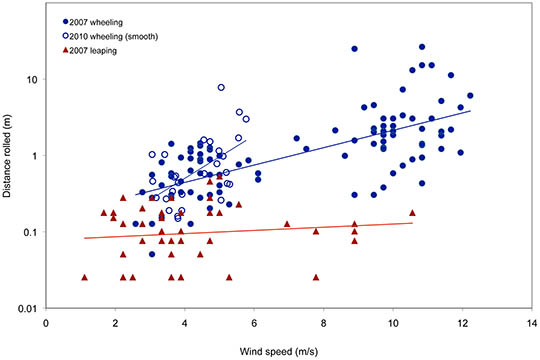 Wind speed vs. distance traveled by wheeling beetles