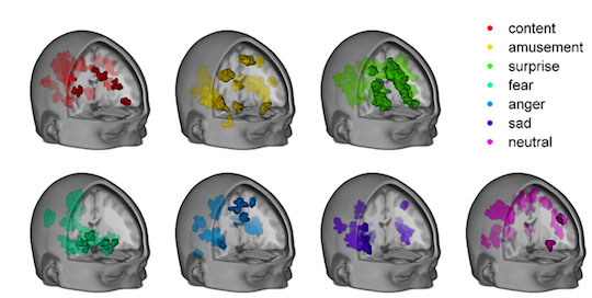 Seven computer-generated images of a head with the brain visible. Each image represents brain activation for a given emotion.