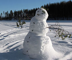 a snowman rests in a snowy field. In the background the field is covered in snow, and evergreen trees line the horizon.