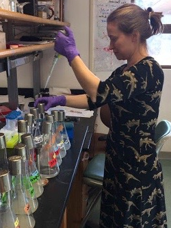 A picture of Dr. Kerry Geiler-Samerotte pipetting chemicals into a flask.