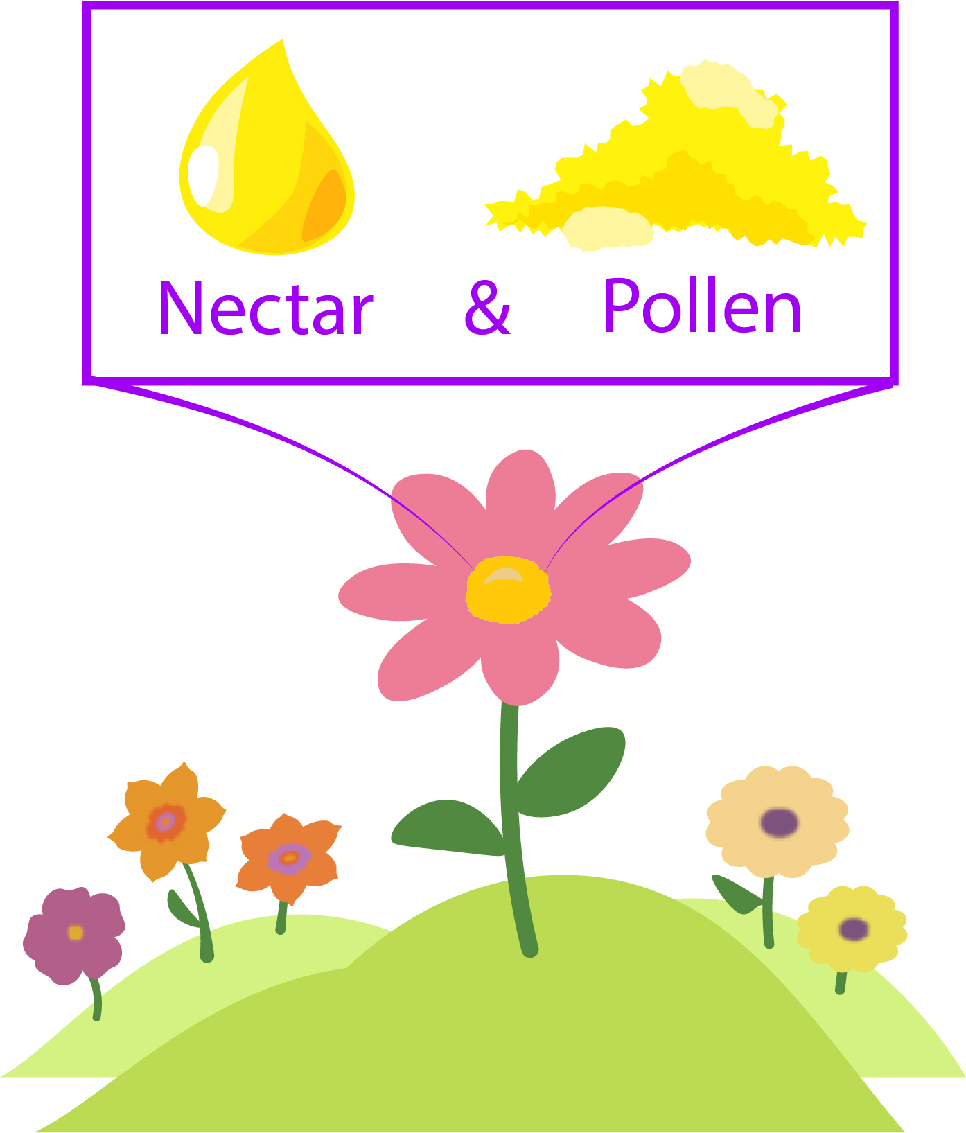 flower, nectar, pollen
