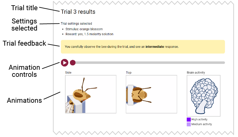 A screenshot of the top of the trial results section with the trial title, settings selected section, trial feedback, animation controls, and animations labeled.