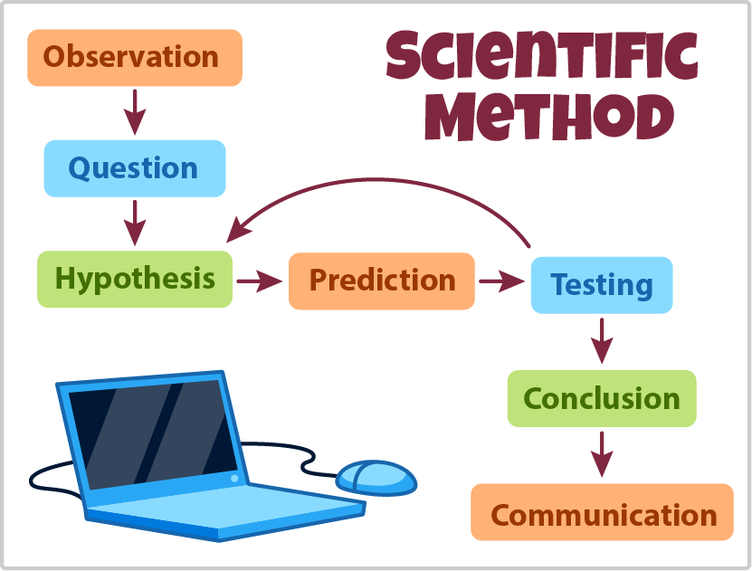 The steps of the scientific method: question, hypothesis, prediction, testing, conclusion, communicate.