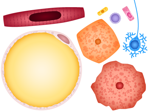 The different cells that appear in the View and Compare section.