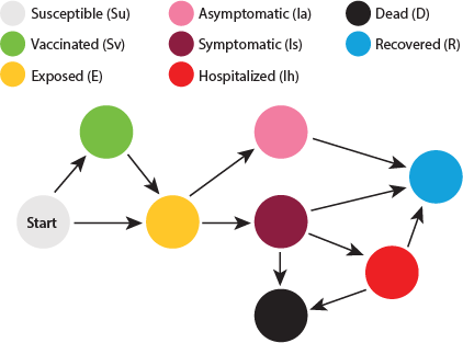 COVID model flow diagram