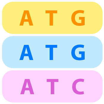 Three rows of letters. The top row says A, T, G. The middle row says A, T, G. And the last row says A, T C.