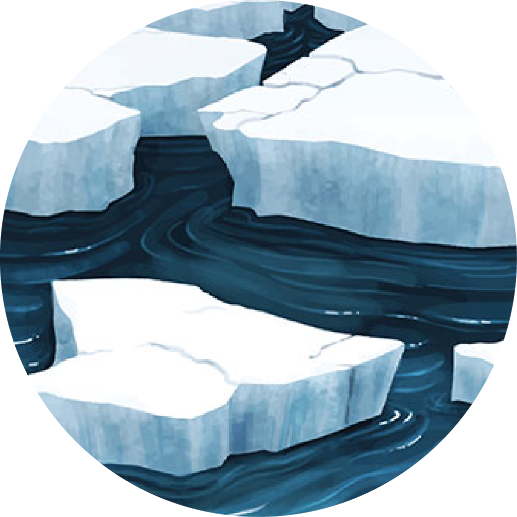 Sea ice floating in water.