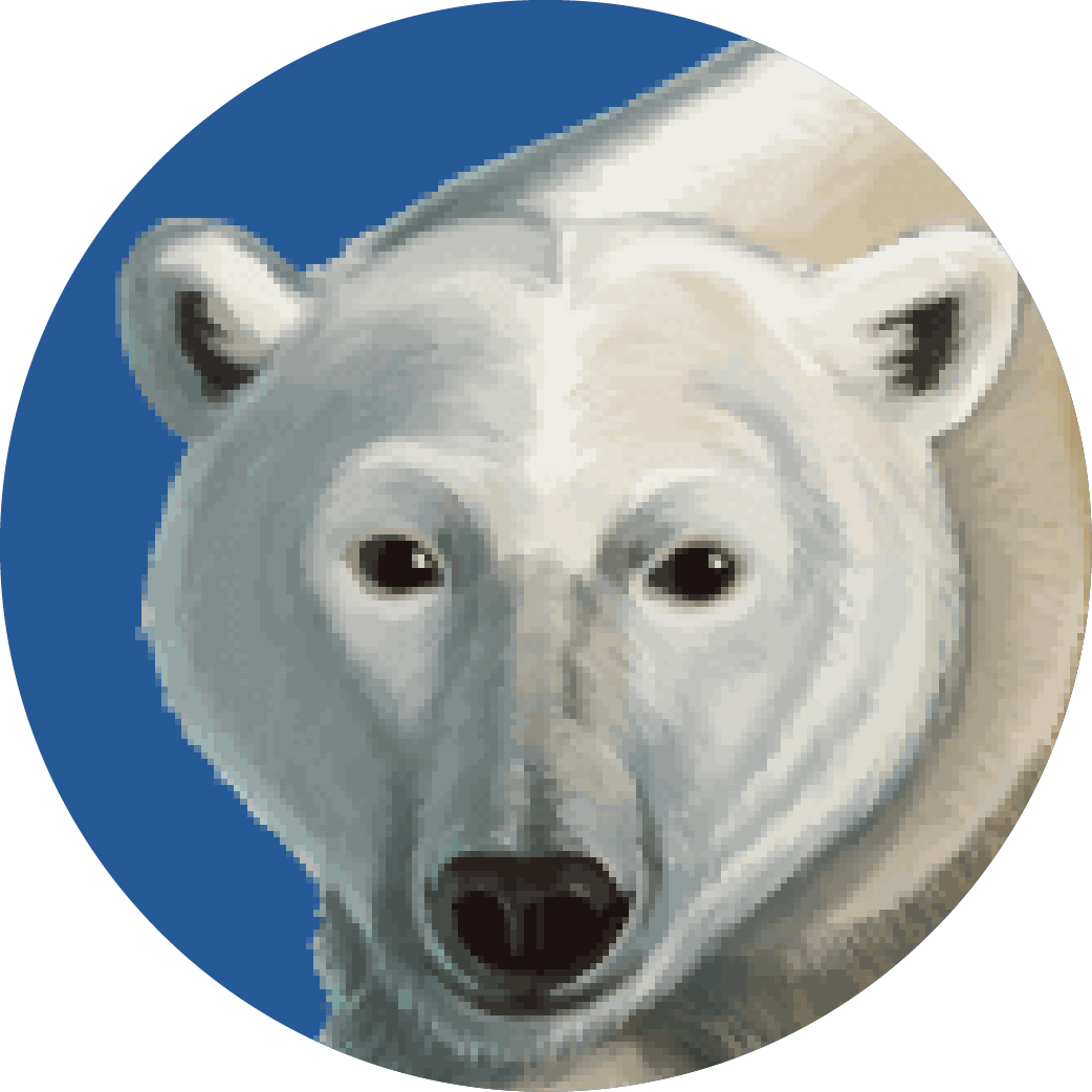A polar bear head.