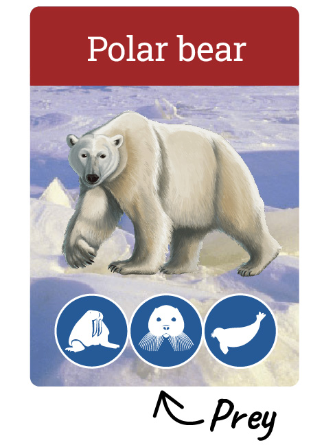 The polar bear card as an example of a hunter card. The prey species are listed toward the bottom.