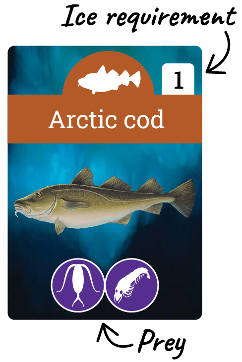 The arctic cod card as an example of a species card. The ice requirement is in the upper left, and the prey species are listed toward the bottom. 
