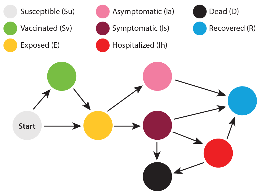 COVID model flow diagram