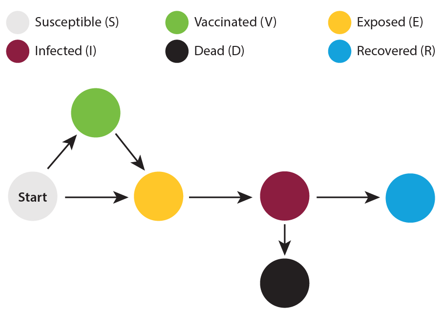 Measles model flow diagram