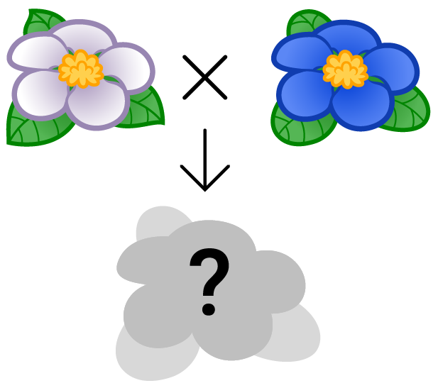 A blue and white flower on the top row with an arrow pointing to a grey flower on the bottom row with a question mark over it.