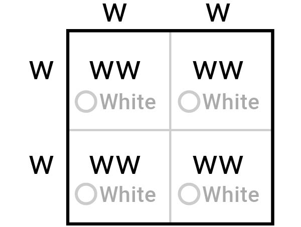 A Punnet square. The top parent is ww. The side parent is ww. All offspring are ww.