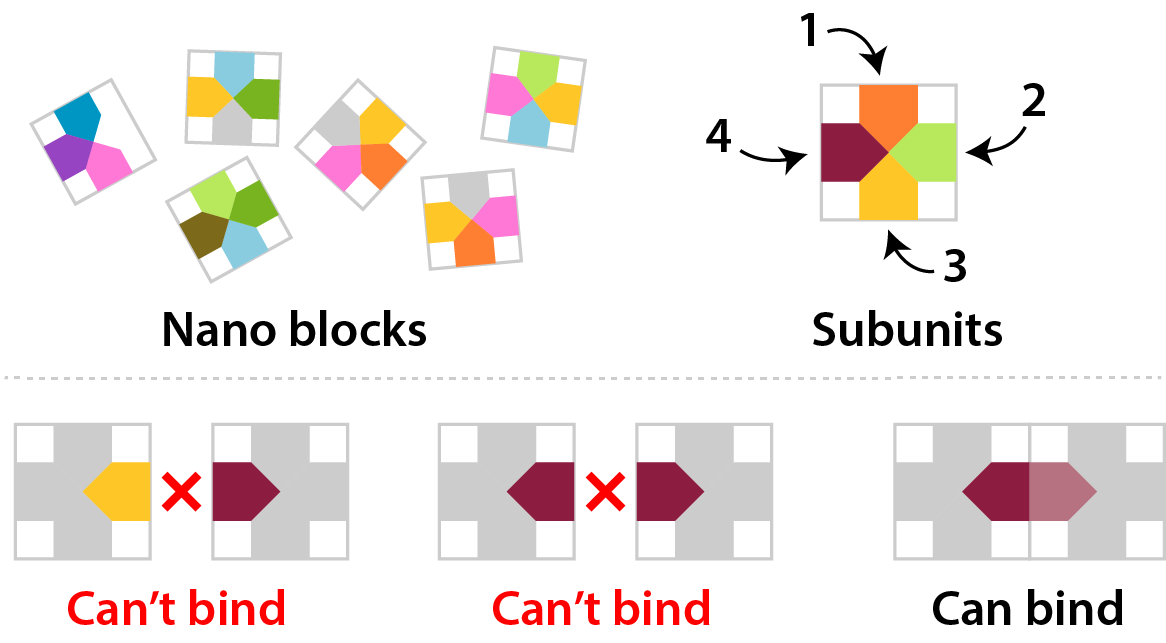 Nano blocks and subunits