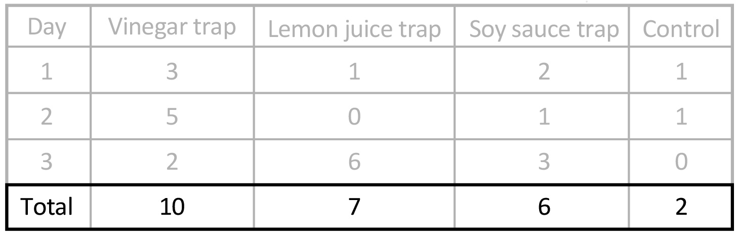 A table of data showing the day number and 3 treatment types across the top, and data for 3 days in the rows below. The last row shows the total of the 3 days.