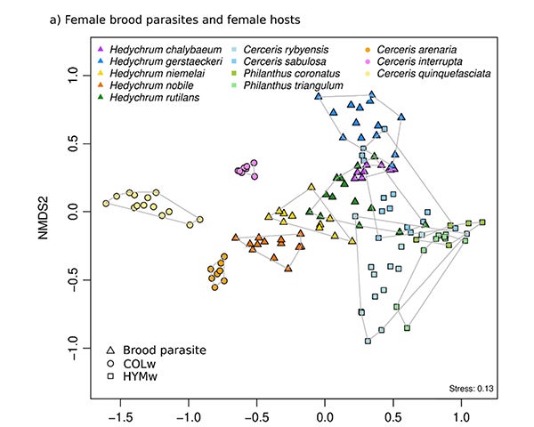 A graph of the different cuticular hydrocarbon profiles of wasps, both brood parasites and their hosts.