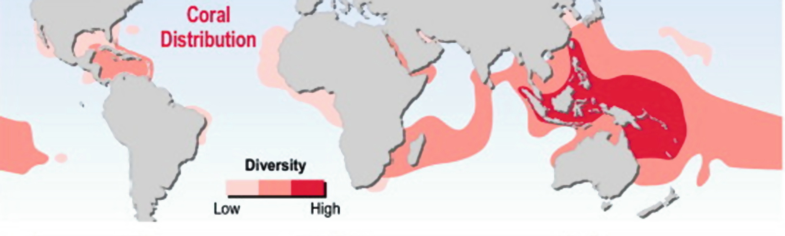 An illustrated map showing the distribution of coral reefs