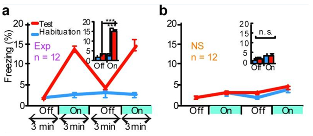 graphs from a memory training experiment in  that shows lasers can activate their memories