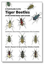 tiger beetles book