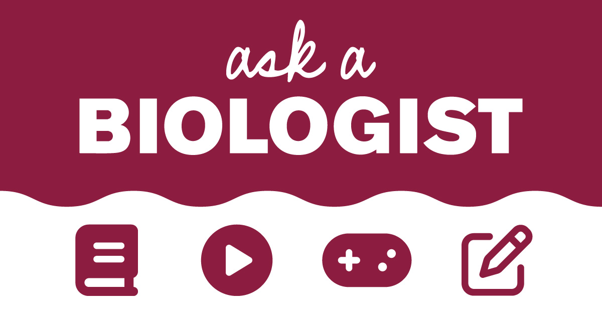 askabiologist.asu.edu