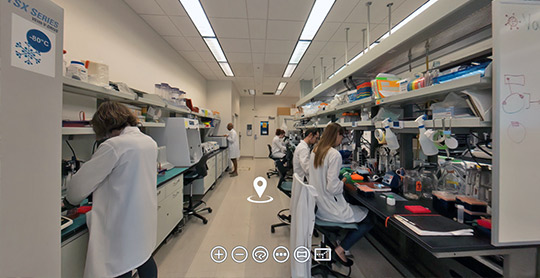 ASU virtual laboratory image link