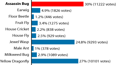 UBC Vote Result graph