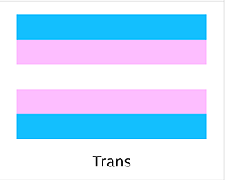A flag with blue, pink, and white stripes that says &quot;trans&quot; underneath