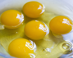 Five raw eggs in a bowl