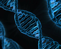A blue DNA double helix against a black background